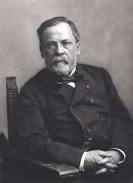 Louis Pasteur étudie le vinaigre et sa formation. Les créations de Coccinelle/Médicinelle.